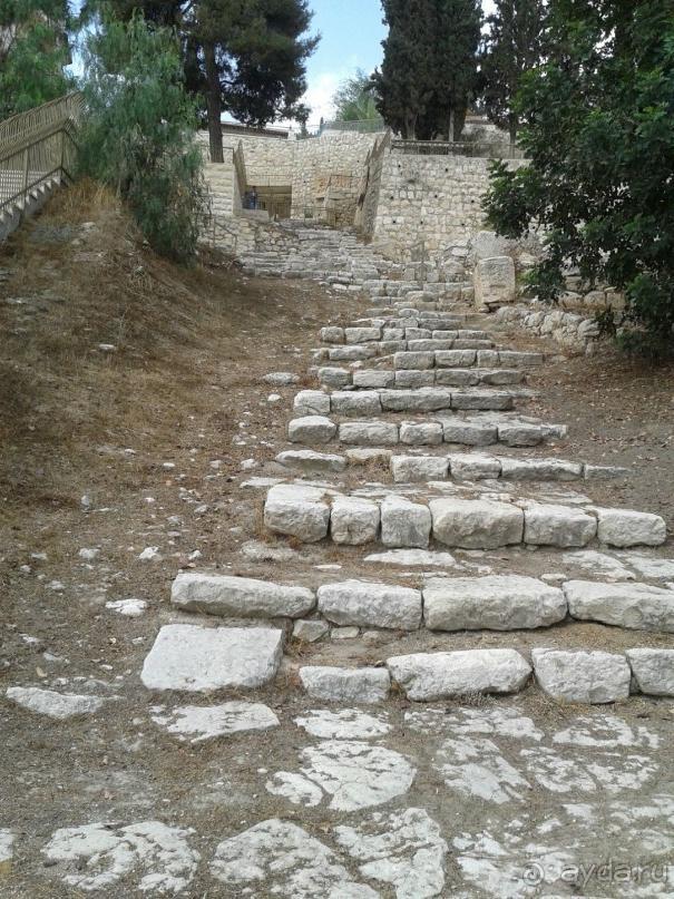 ДОРОГА,ПО КОТОРОЙ ВЕЛИ ГОСПОДА ПОСЛЕ ПРЕДАТЕЛЬСТВА ИУДОЙ