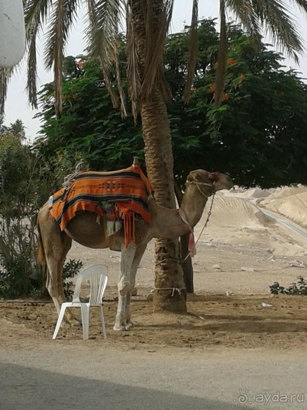 Отдых в Израиле.