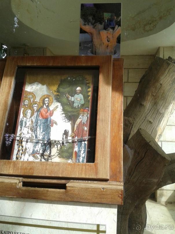 Отдых в Израиле.