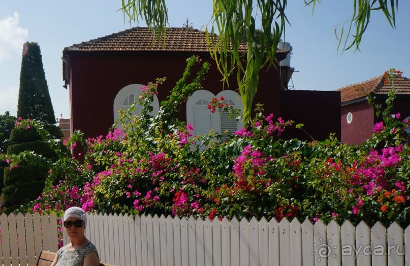 Отдых в Израиле.