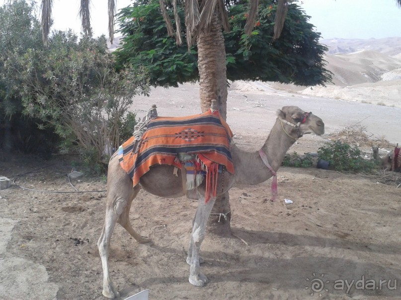 Отдых в Израиле.