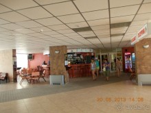 фото Амбассадор