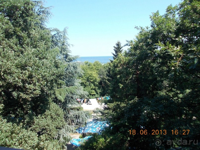 Отель очень понравился, отличная еда и обслуживание, 2 прекрасных чистых басссейна, много зелени.