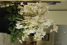  Отель Удивил