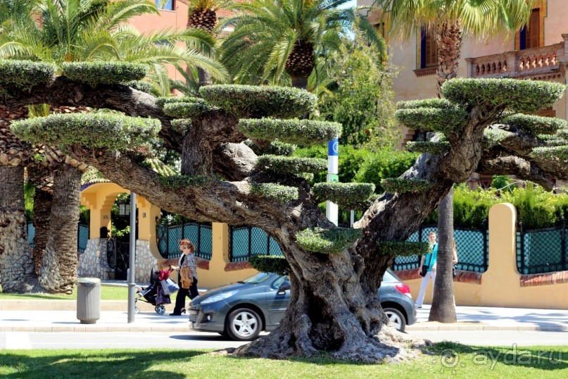  Отель Удивил