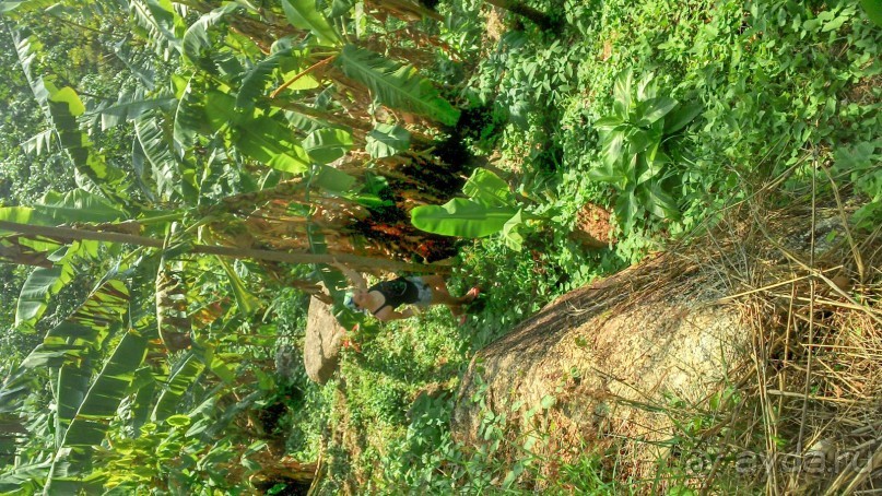 ВСЁ НОРМАЛЬНО