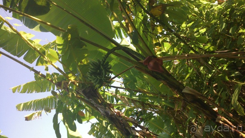 ВСЁ НОРМАЛЬНО