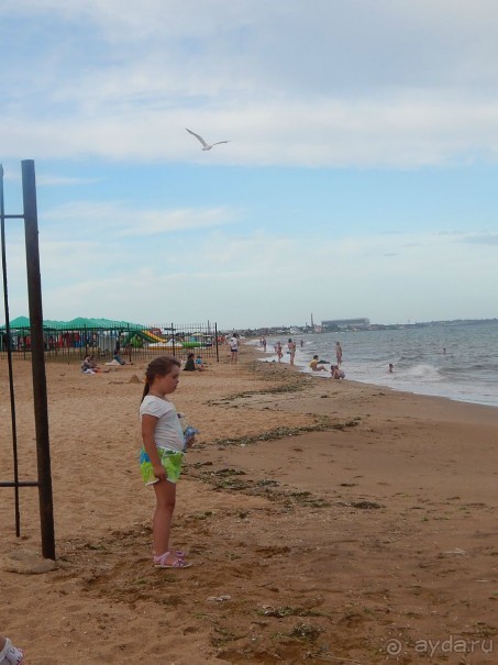 фото Золотой берег