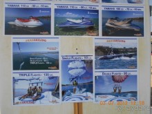 фото Blue Orange