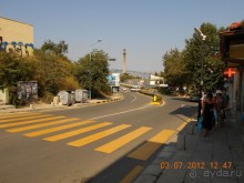 фото Blue Orange