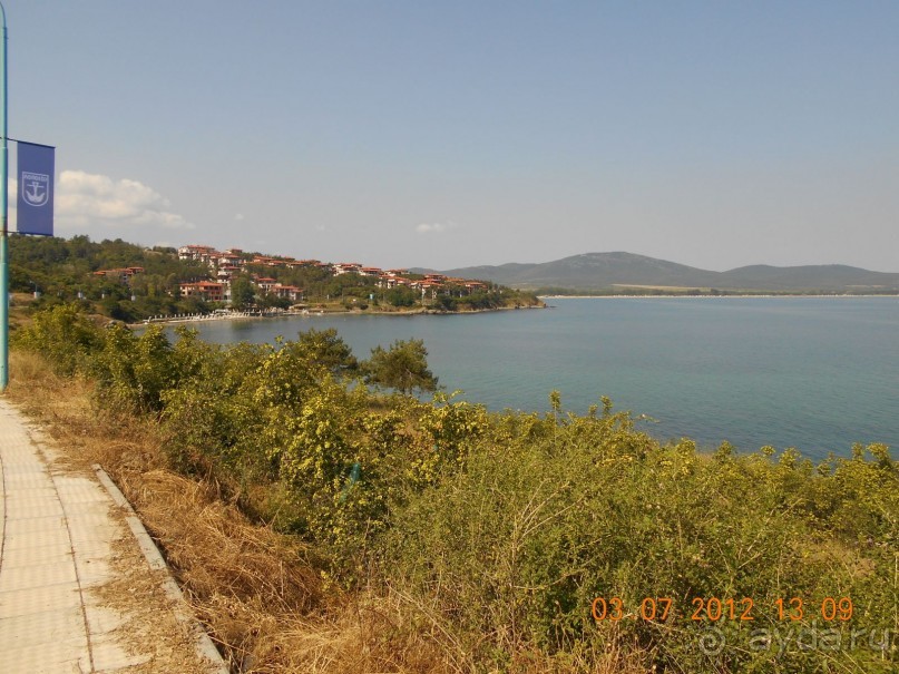 фото Blue Orange