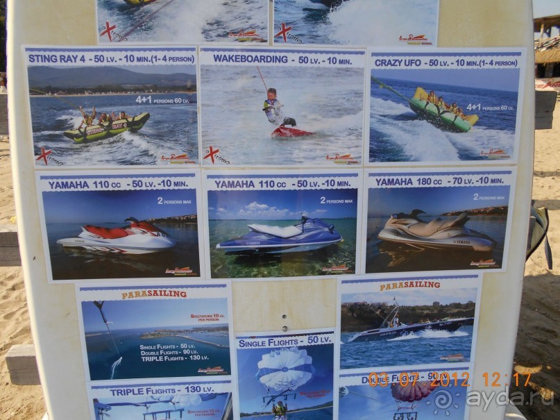 фото Blue Orange