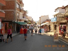 фото Blue Orange