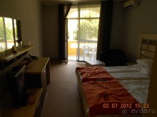 фото Blue Orange