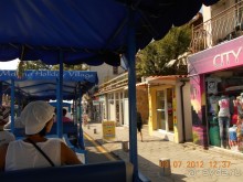 фото Blue Orange