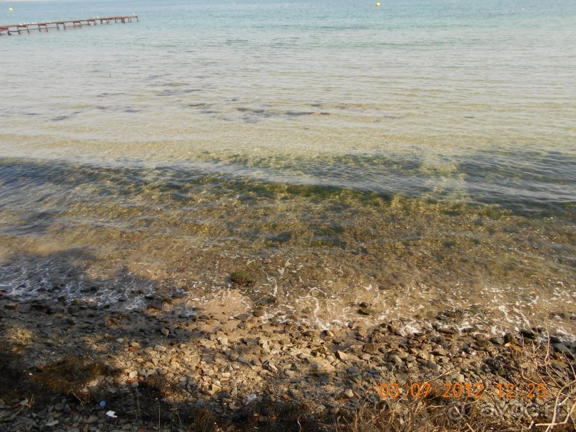 Райское наслаждение