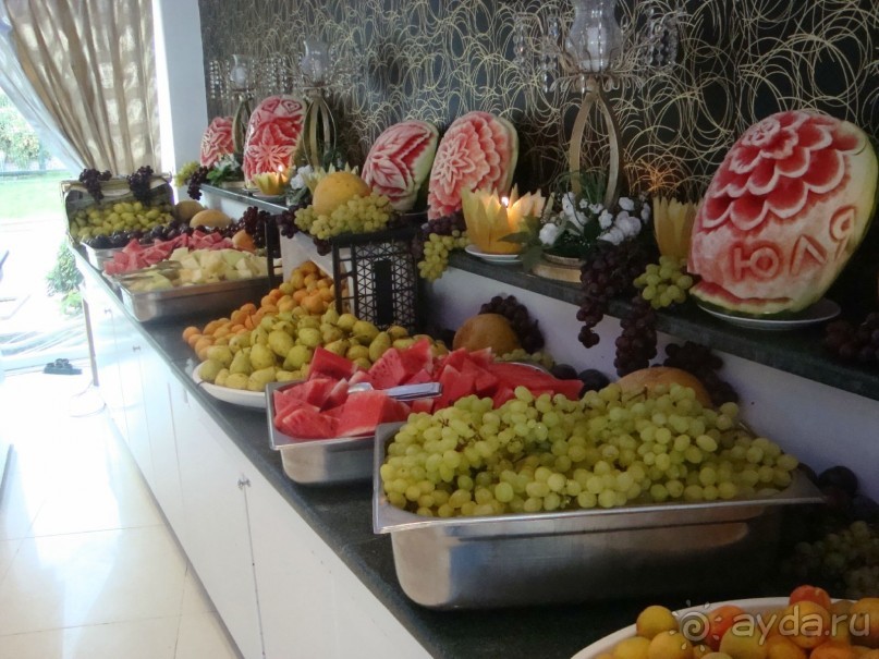 фото Agence du Roc Blanc