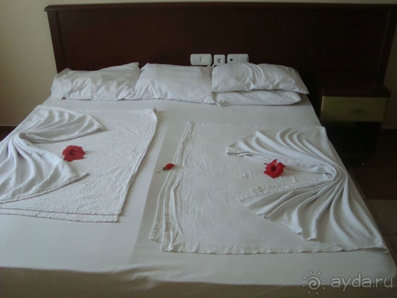 фото Agence du Roc Blanc