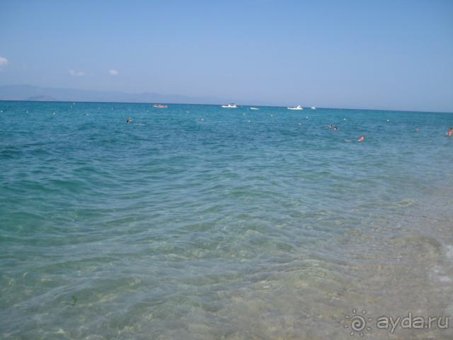 Если на Халкидики, то в Ханиоти и Грекотель  