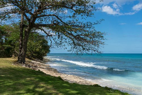 фото Round Hill Hotel & Villas