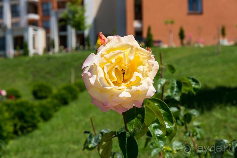 фото Fort Noks Grand Resort