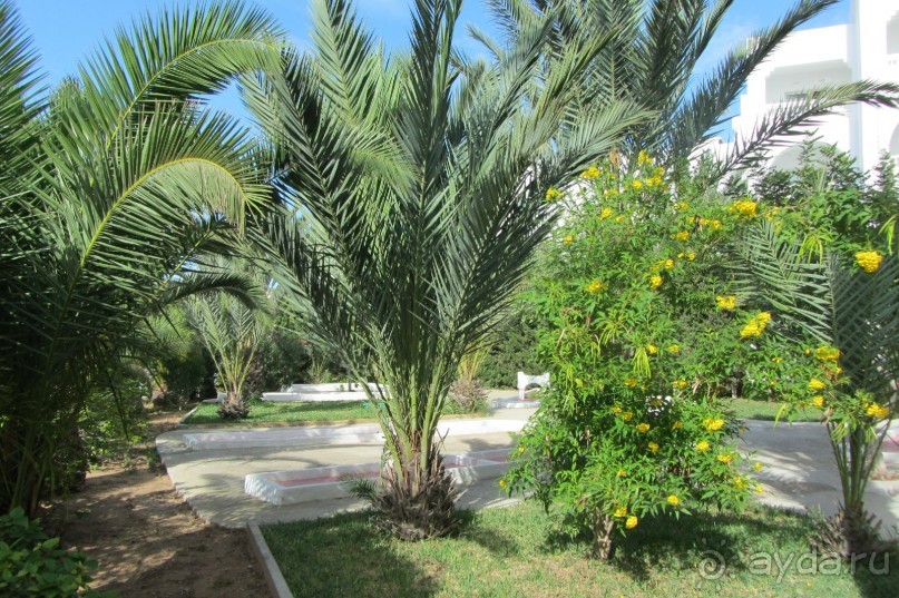 Отель для спокойного отдыха!