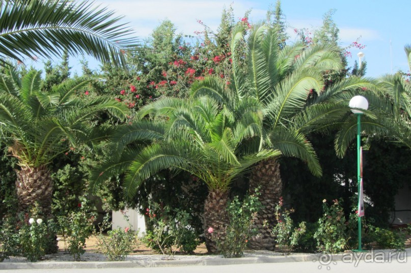 Отель для спокойного отдыха!