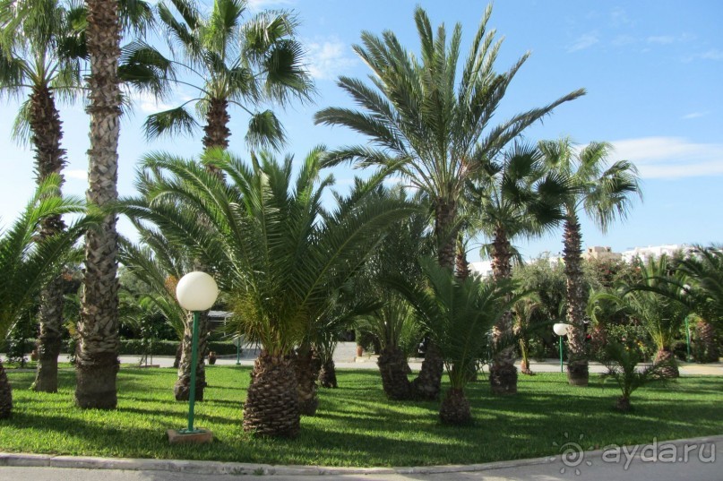 Отель для спокойного отдыха!