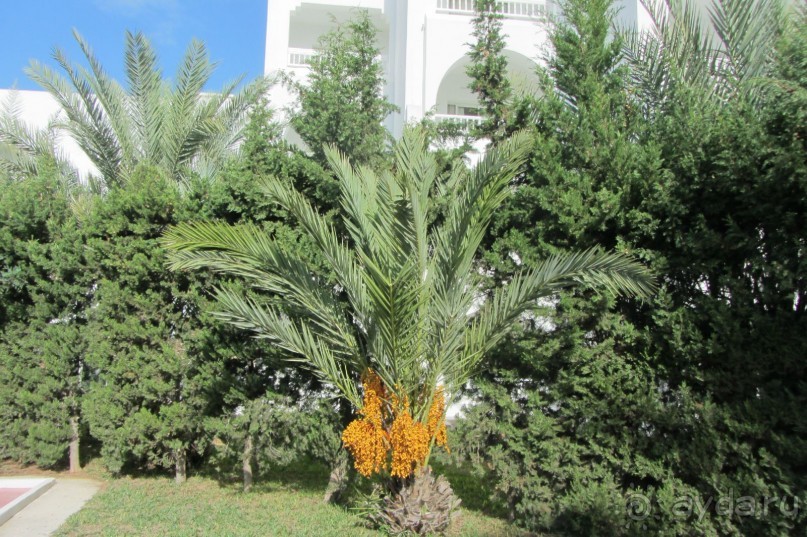 Отель для спокойного отдыха!