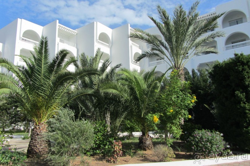 Отель для спокойного отдыха!