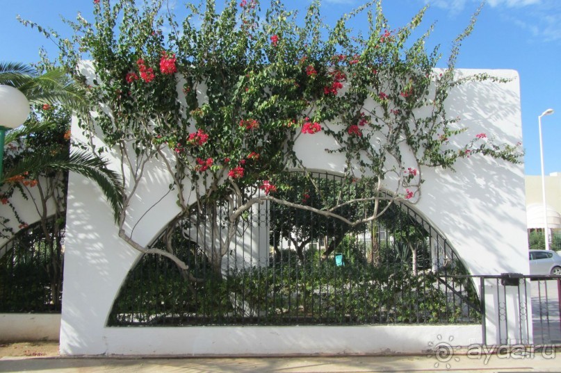 Отель для спокойного отдыха!