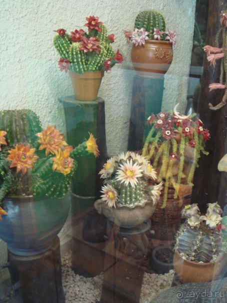 Santandre-излучина Дуная.