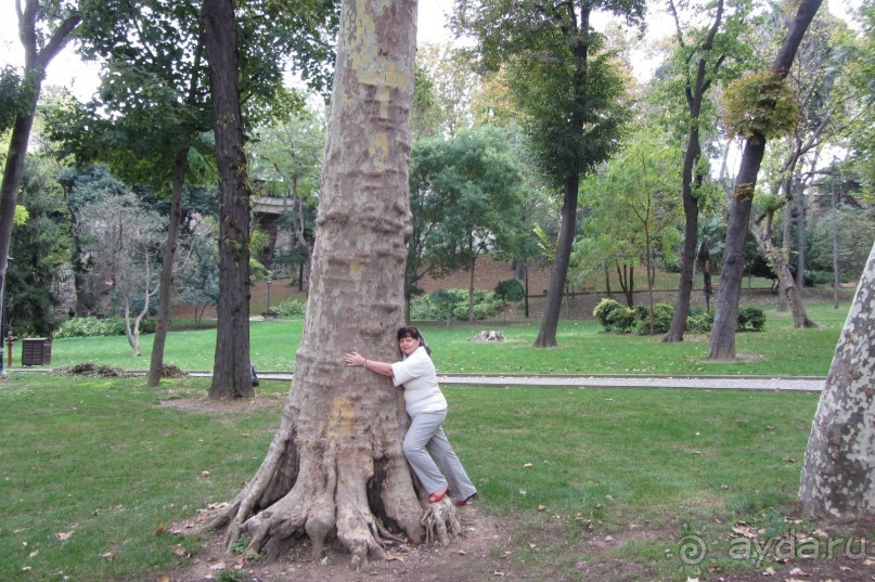 Прекрасное место для отдыха!