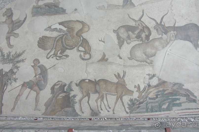 Mosaic Muzesi. Музей не впечатлил.