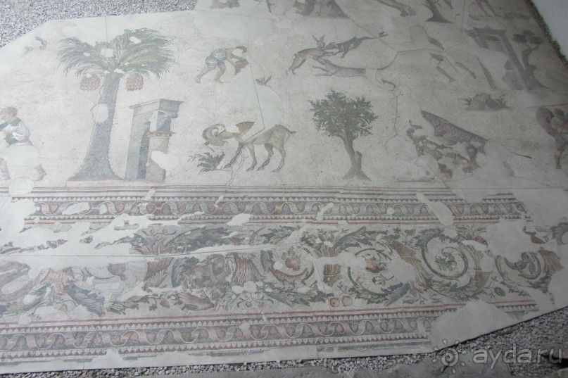 Mosaic Muzesi. Музей не впечатлил.