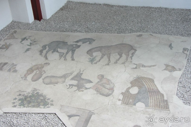 Mosaic Muzesi. Музей не впечатлил.