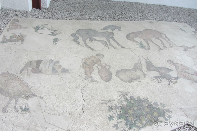 Mosaic Muzesi. Музей не впечатлил.