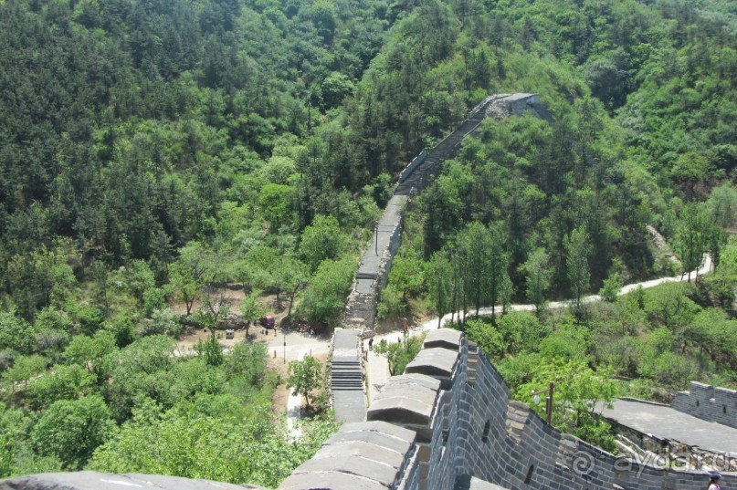 «Дракон» ныряющий в воду! 