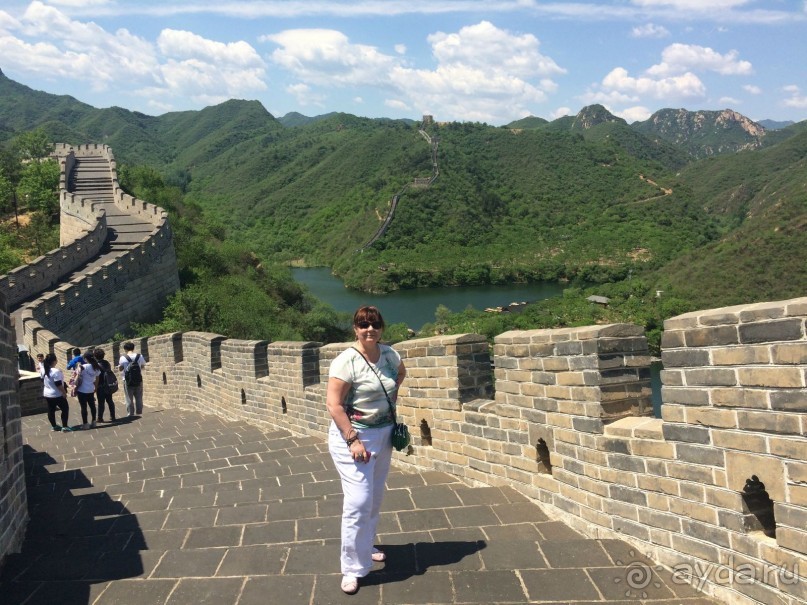 «Дракон» ныряющий в воду! 