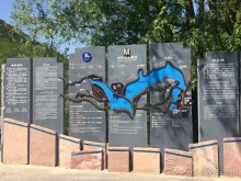 «Дракон» ныряющий в воду! 