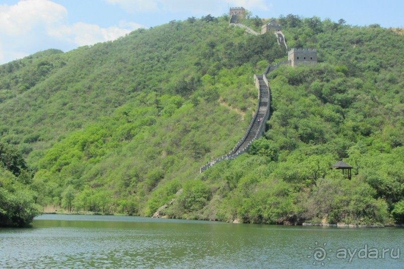 «Дракон» ныряющий в воду! 