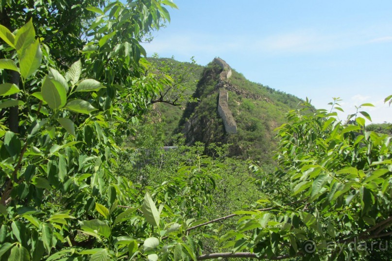 «Дракон» ныряющий в воду! 