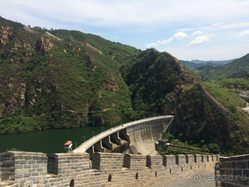 «Дракон» ныряющий в воду! 