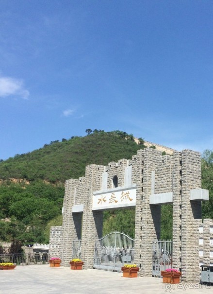 «Дракон» ныряющий в воду! 