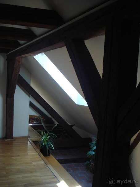 Прекрасный отель!