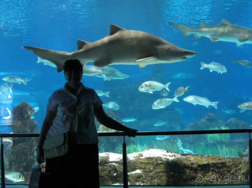 Дайвинг интереснее.