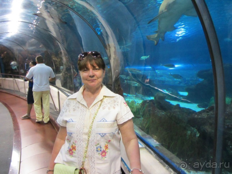 Дайвинг интереснее.