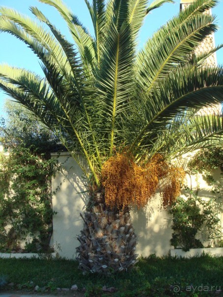 Хороший отель!