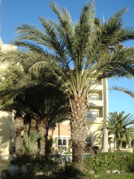 Хороший отель!