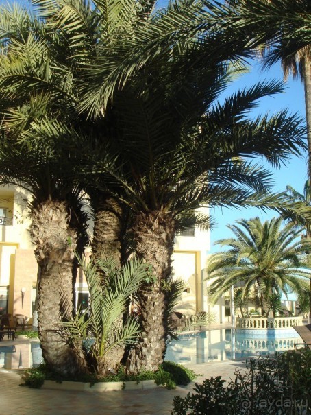 Хороший отель!